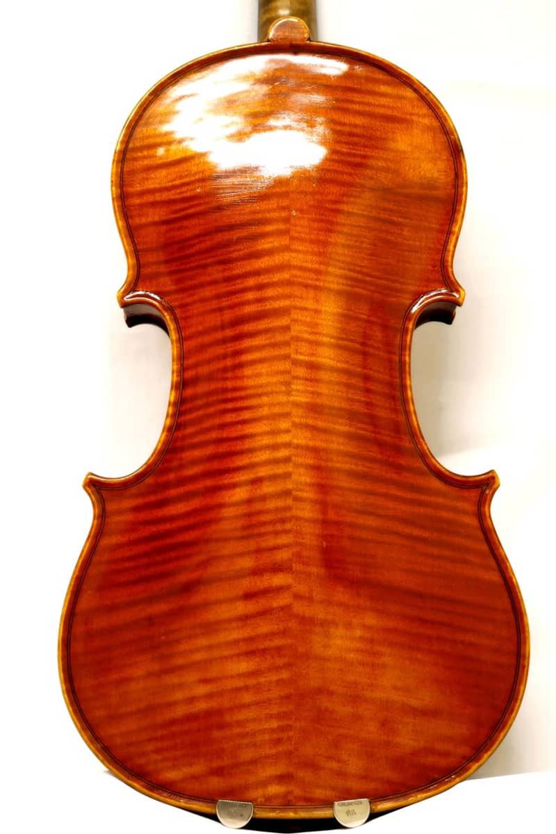 Hannibal Fagnola violin02