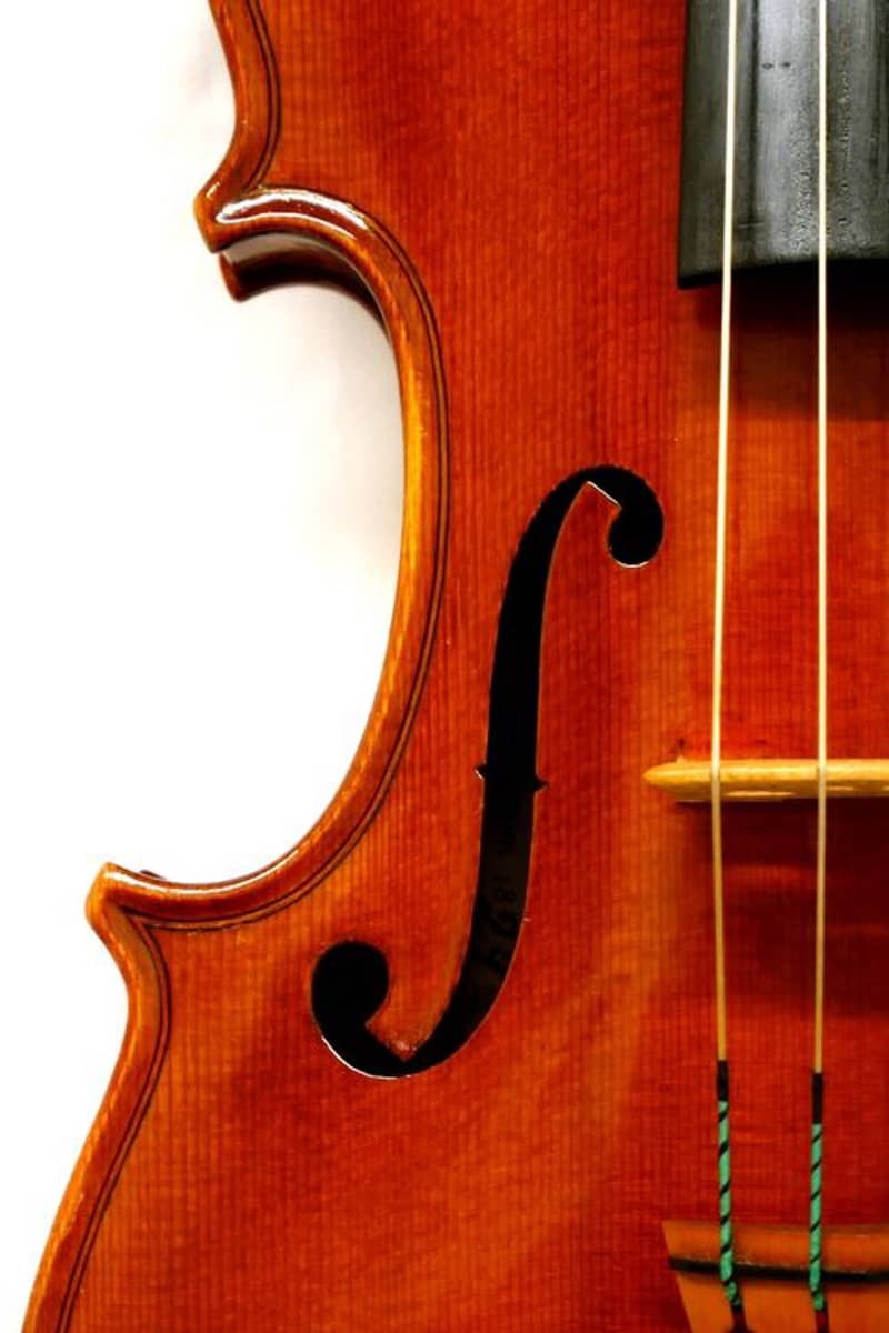 Hannibal Fagnola violin03