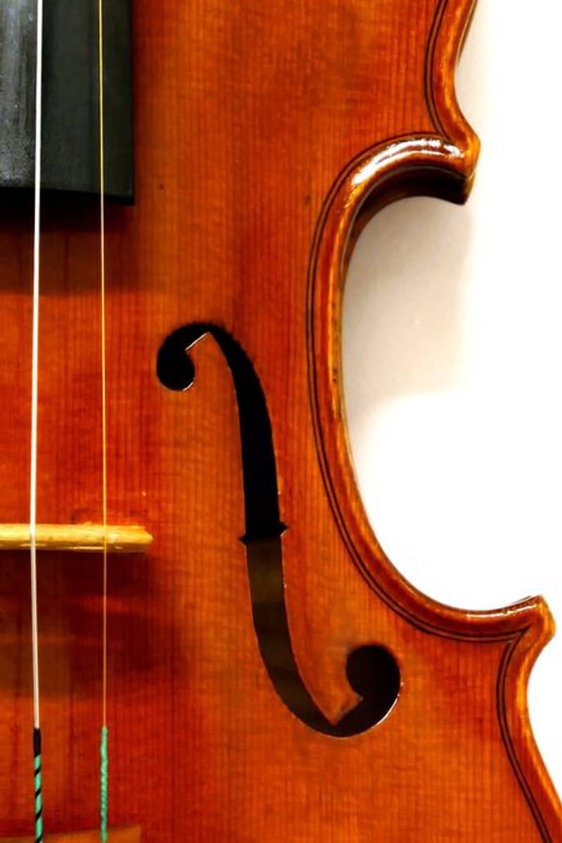 Hannibal Fagnola violin04