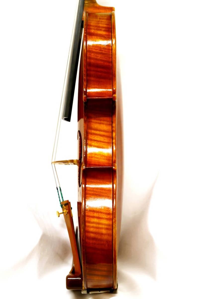 Hannibal Fagnola violin05