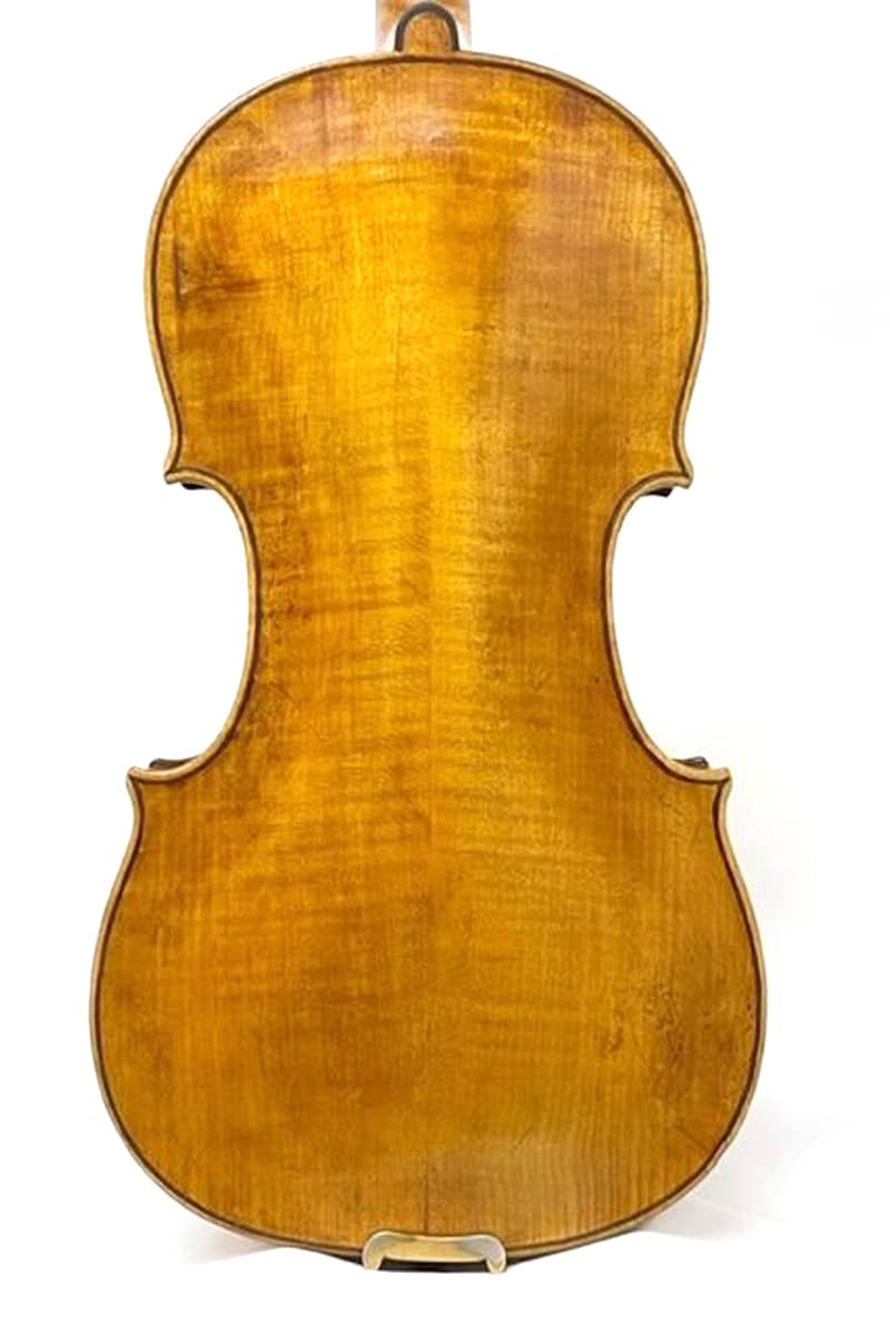 Pietro G. Mantegazza violin02