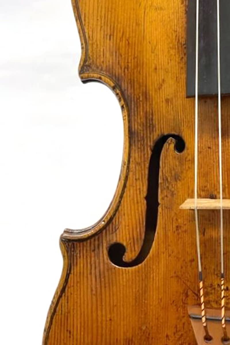 Pietro G. Mantegazza violin03