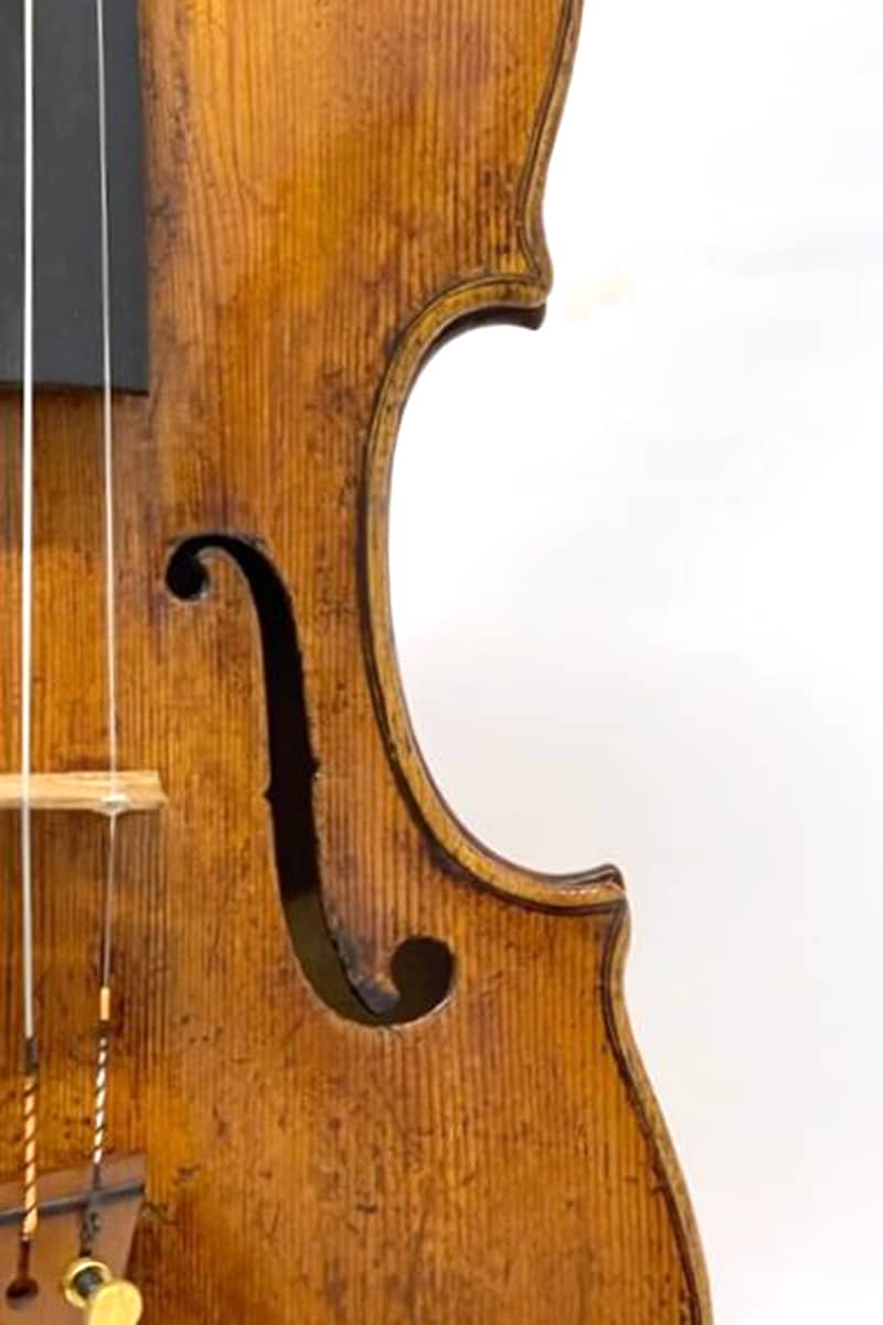 Pietro G. Mantegazza violin04
