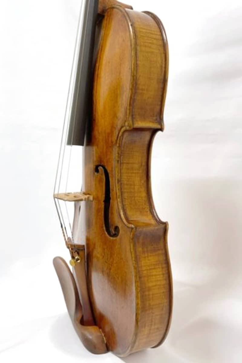 Pietro G. Mantegazza violin05