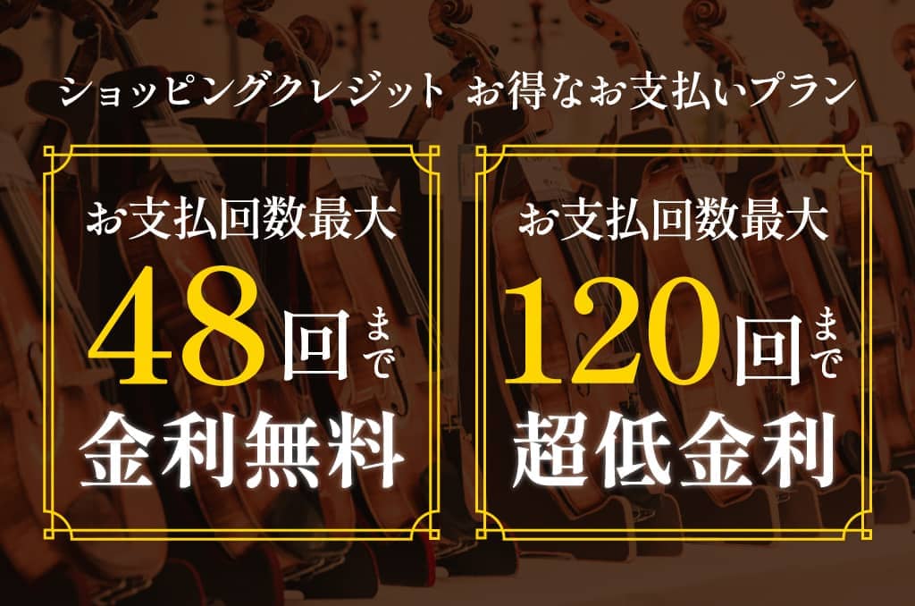 特選！夏の中古弦楽器祭【お茶の水店】 – クロサワバイオリン新着情報