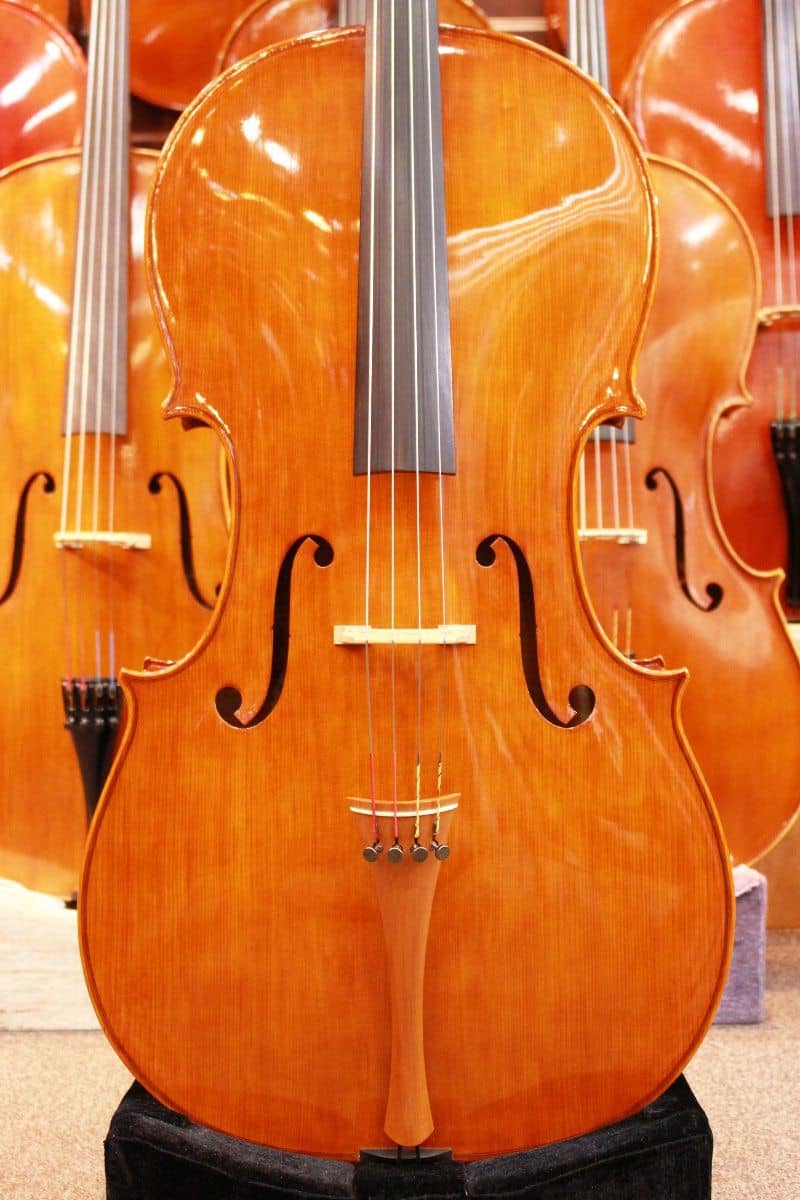 Lorenzo Cassi Cello