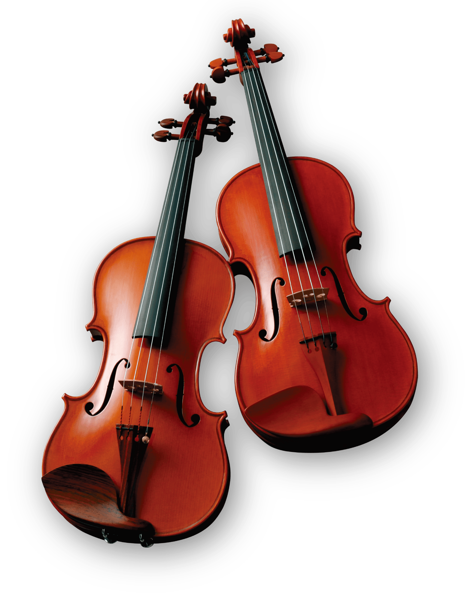 Morassi Violins