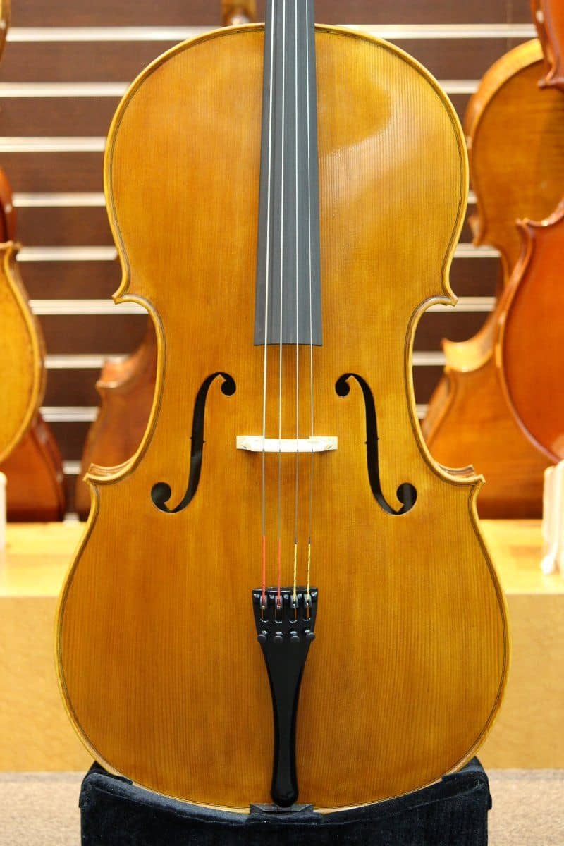 Rainer W.Leonhardt Cello