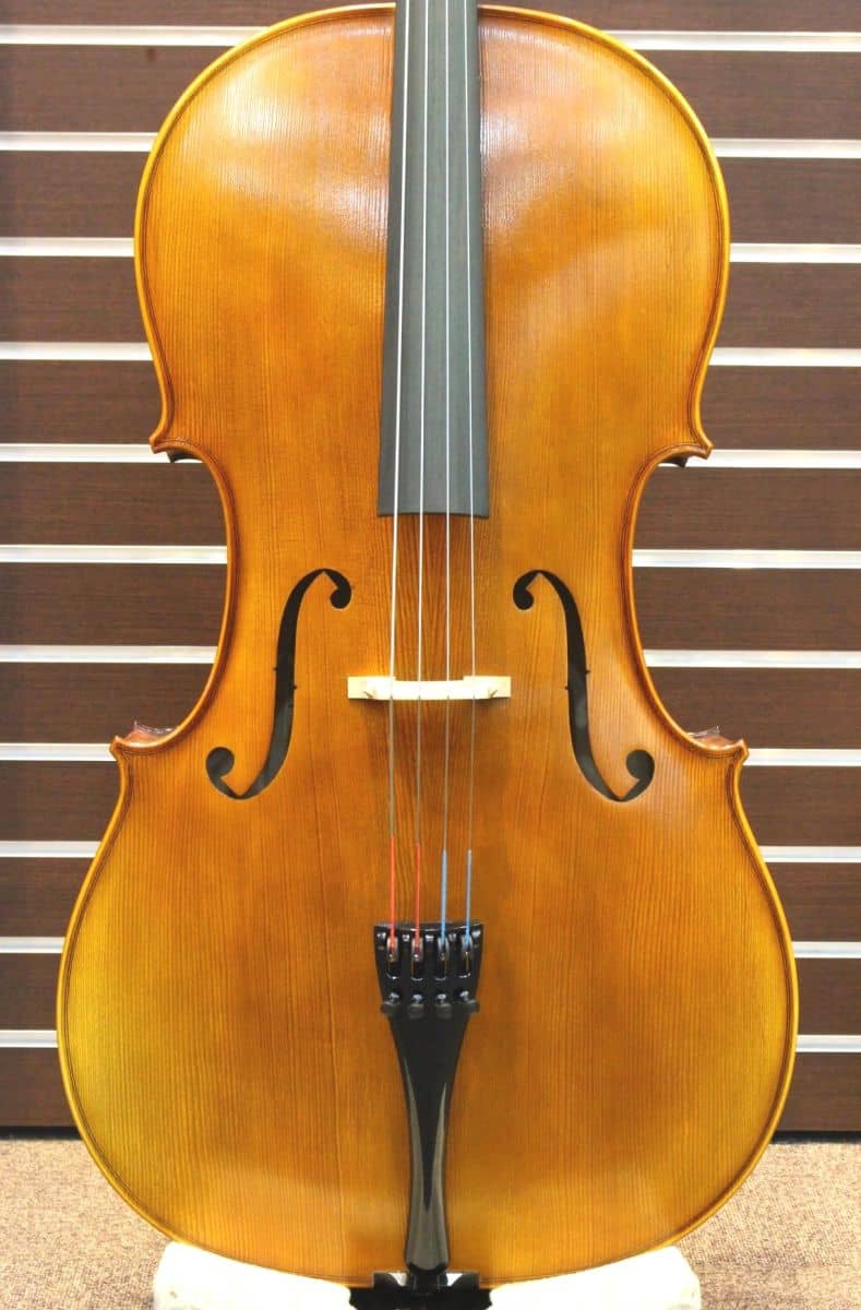 Rainer W.Leonhardt Cello