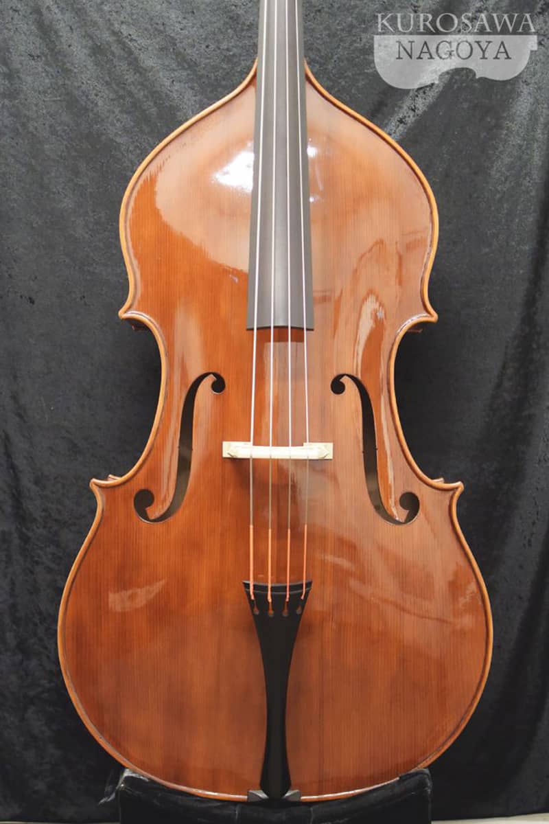 Cesare Cipriani Contrabass