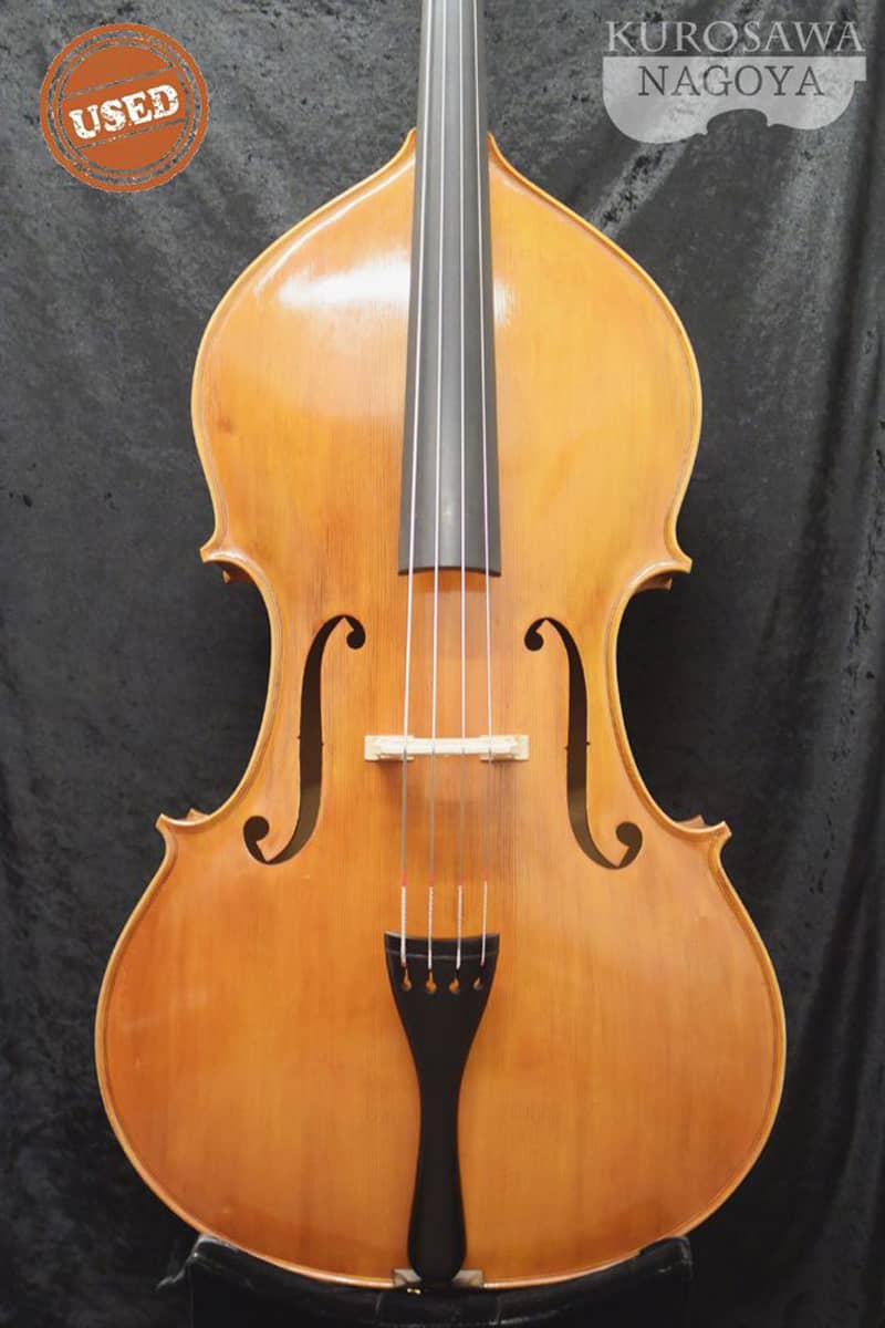 Ioan Bucur Contrabass