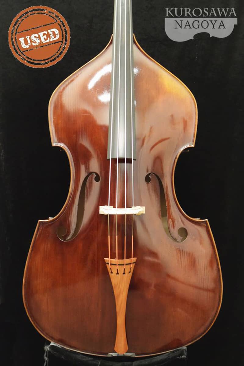 Bjorn Stoll Contrabass