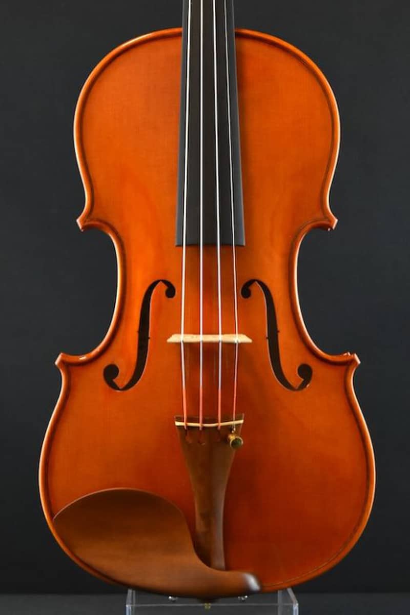 Sandro Asinari violin