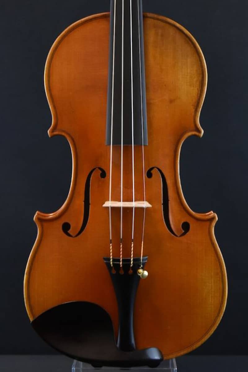 Wilhelm Hermann Hammig violin