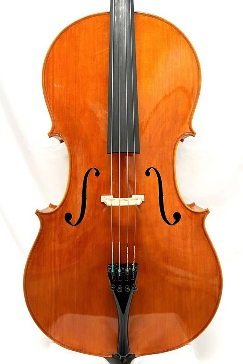 Piero Virdis Cello