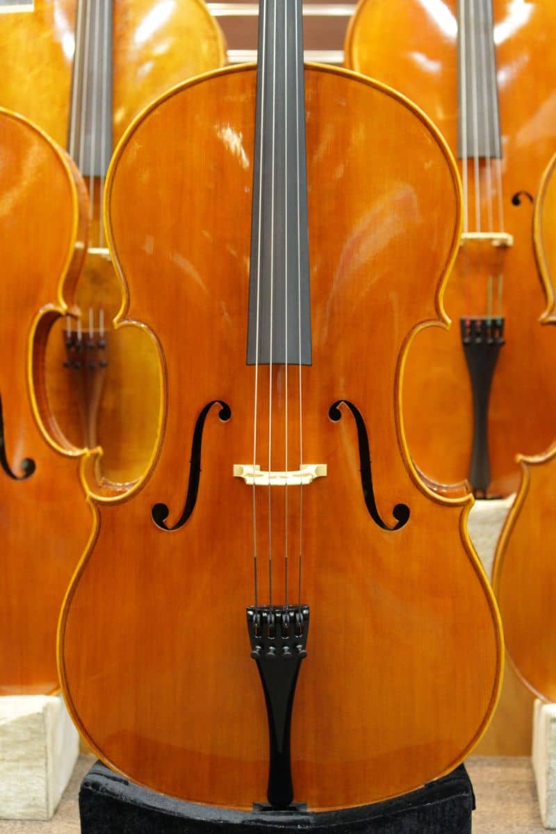 Piero Virdis Cello