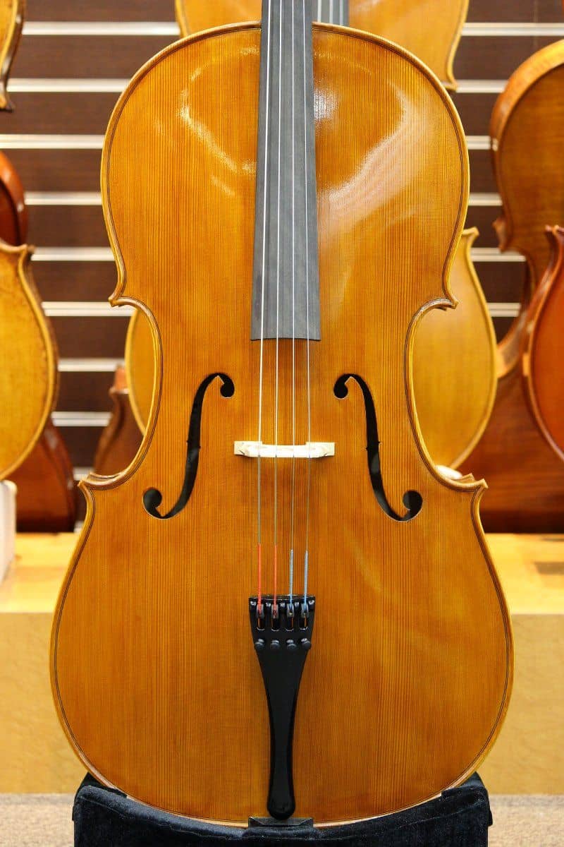 Piero Virdis Cello