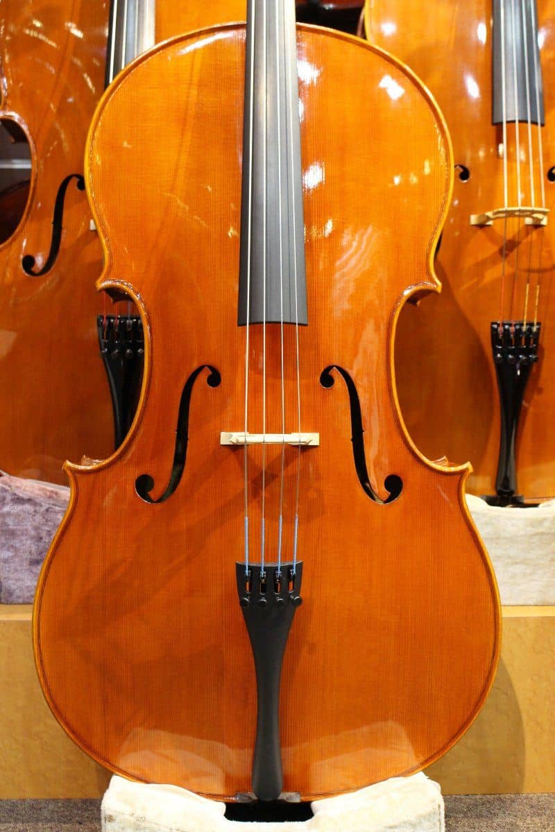 Enrico Marchetti violin