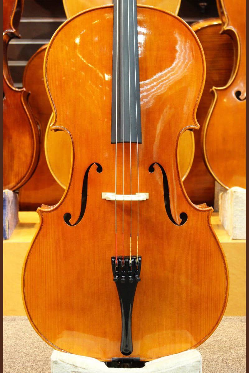 Enrico Marchetti violin